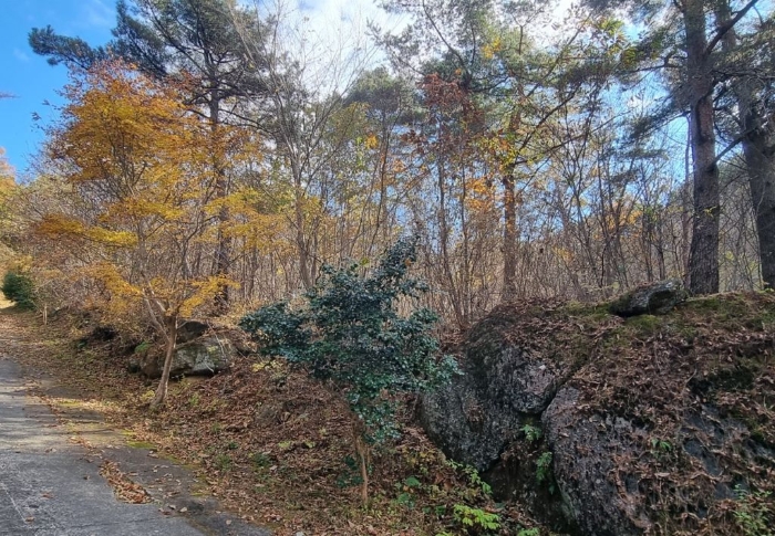 일련번호(29) 일부 전경 