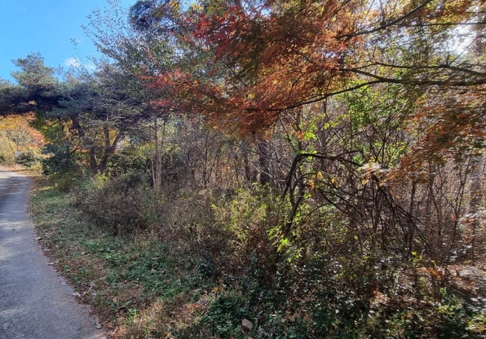 일련번호(29) 일부 전경 