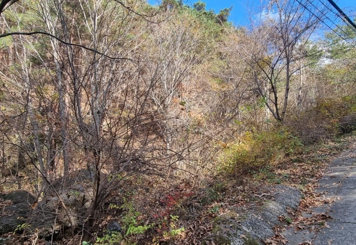 일련번호(30) 일부 전경 