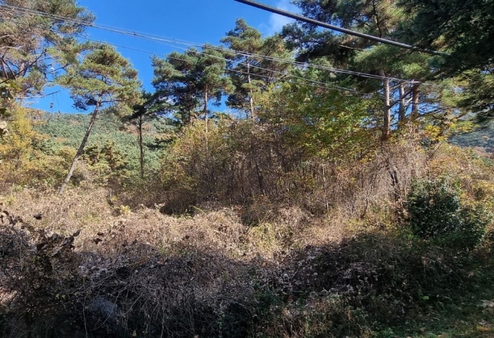 일련번호(30) 일부 전경 