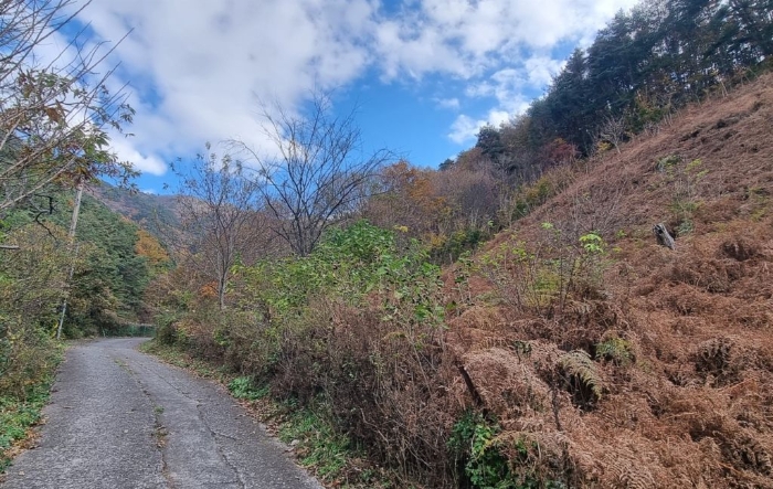 일련번호(31) 및 일련번호(32) 일부 전경 