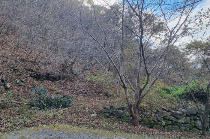 일련번호(31) 일부 전경 