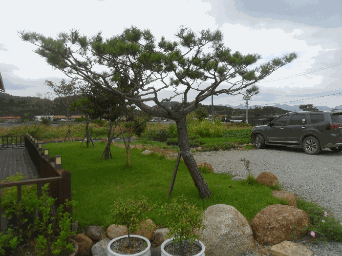 조경시설(평가외,임차인소유)