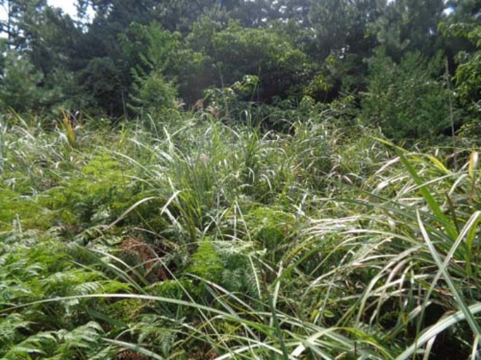 소재지5(상대리