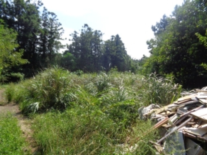 소재지1(상대리