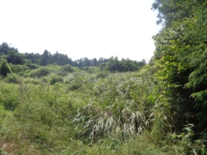 소재지1(상대리