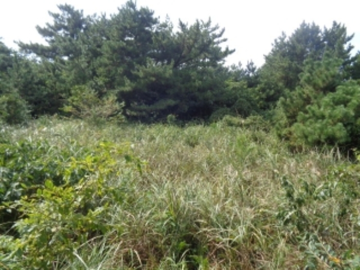 소재지5(상대리