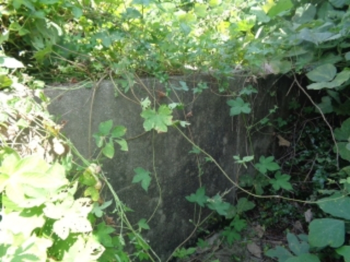 소재지1(상대리