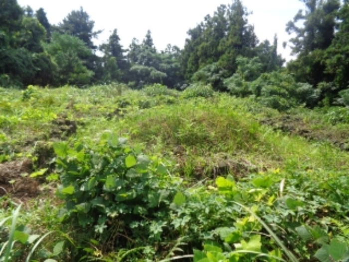 소재지1(상대리