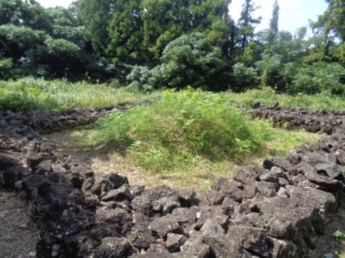 소재지1(상대리