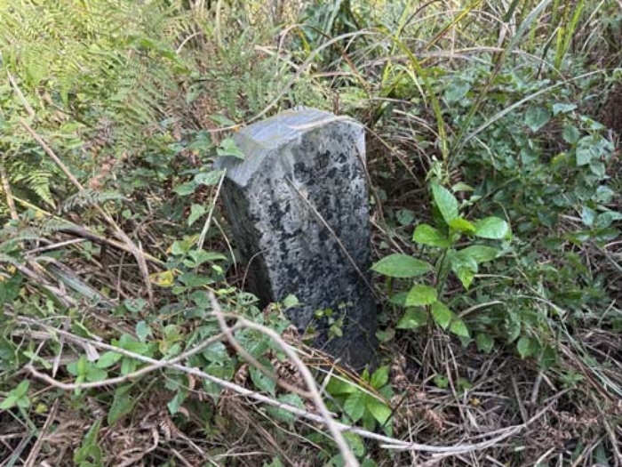 소재지5(상대리