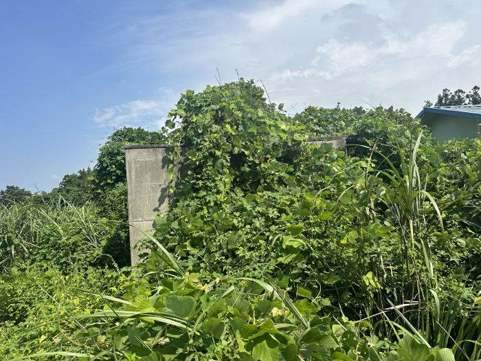 제시외건물 기호