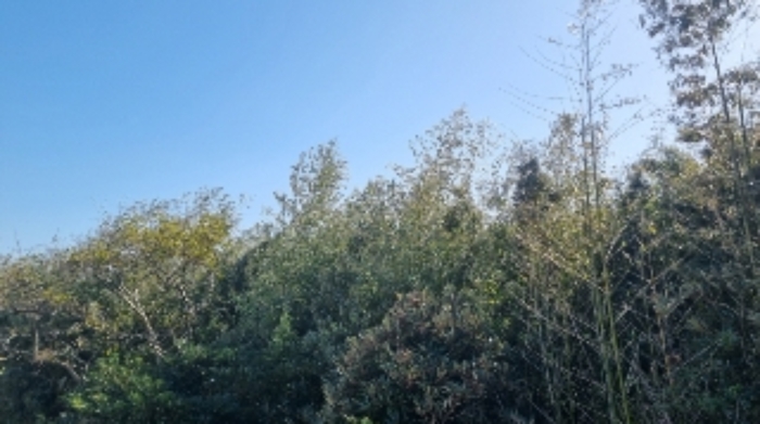 소재지1(표선리 767) 전경1