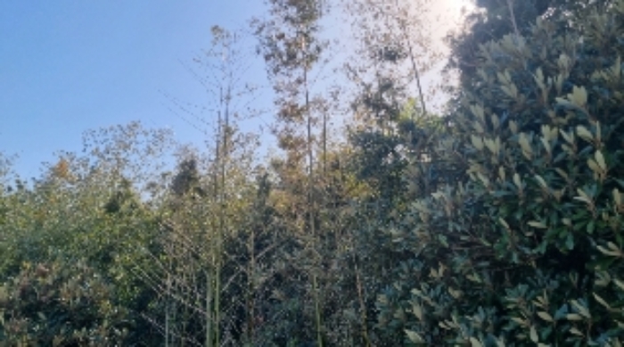 소재지1(표선리 767) 전경2