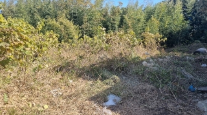 소재지3(표선리 997-1) 전경1