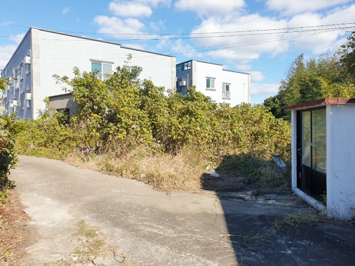 본건 기호(2), (3)