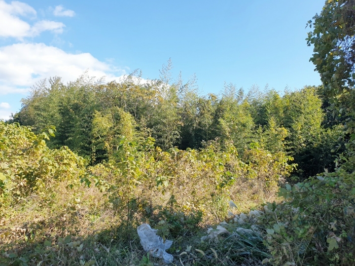 본건 기호(1)-(3)