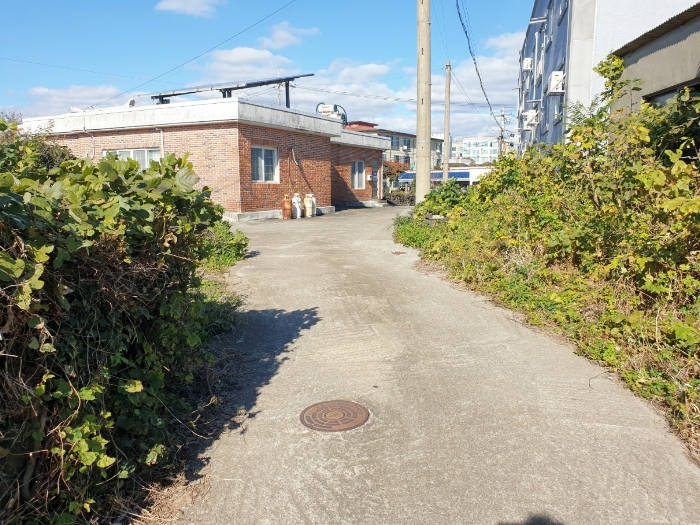 본건 기호(4), (5)