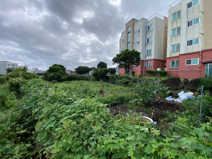 일련번호 2 전경