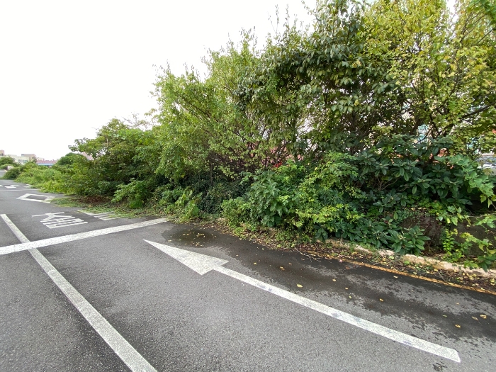 일련번호 7 전경