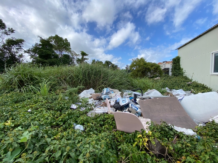 일련번호 8 전경