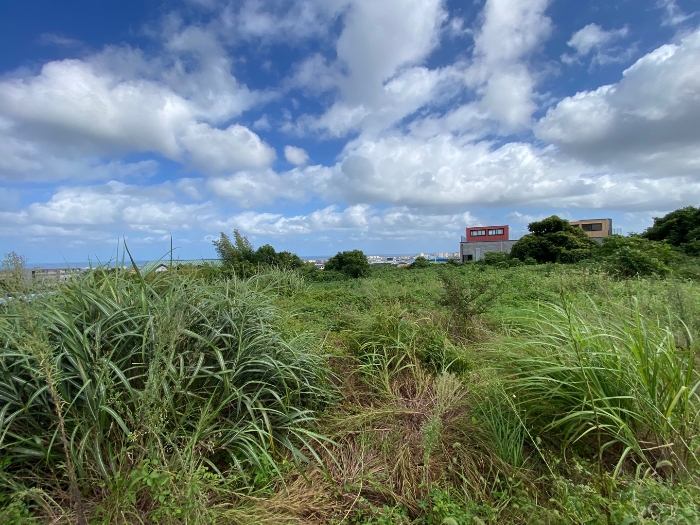 일련번호 9 전경