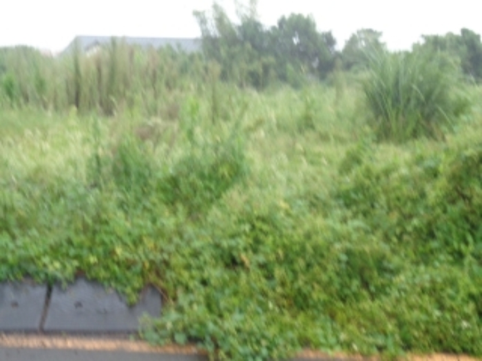 본 건 소재지9.(오라이동 2023) 잡종지