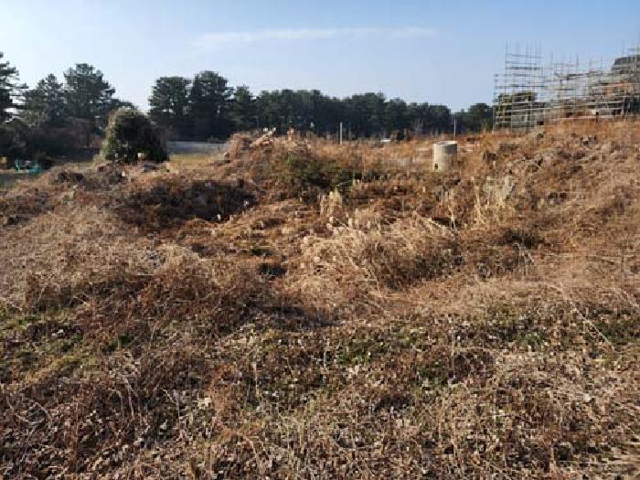 소재지2(노형동 282) 전경 사진