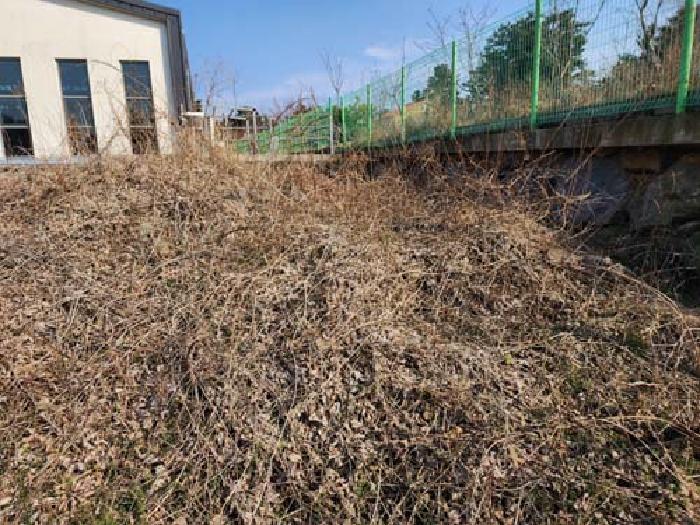 소재지3(노형동 280-2) 전경 사진