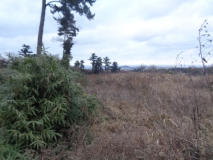 소재지 1. (오등동 227) 전경