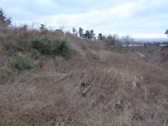 소재지 2. (오등동 227-9) 전경