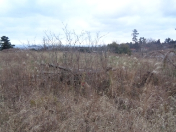 소재지 3. (오등동 227-10) 전경