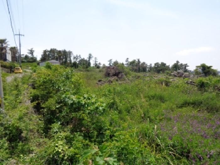 소재지 1.(장전리 114-1) 전경