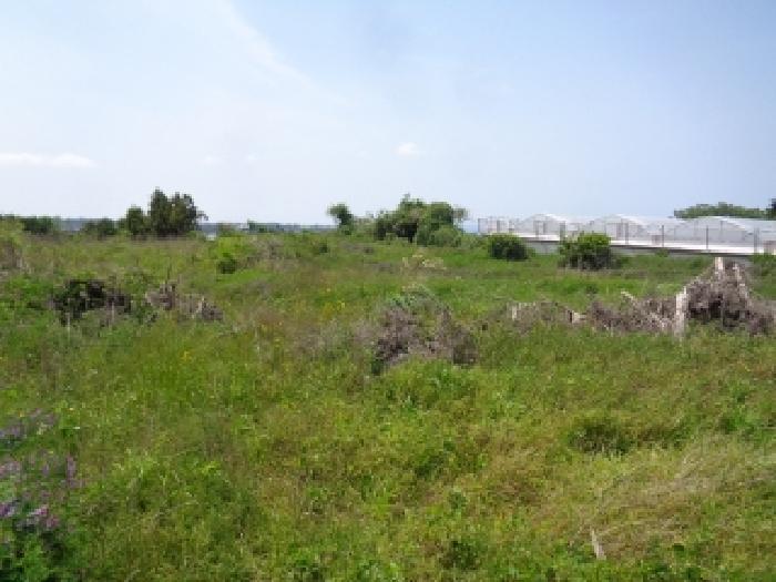 소재지 1.(장전리 114-1) 전경