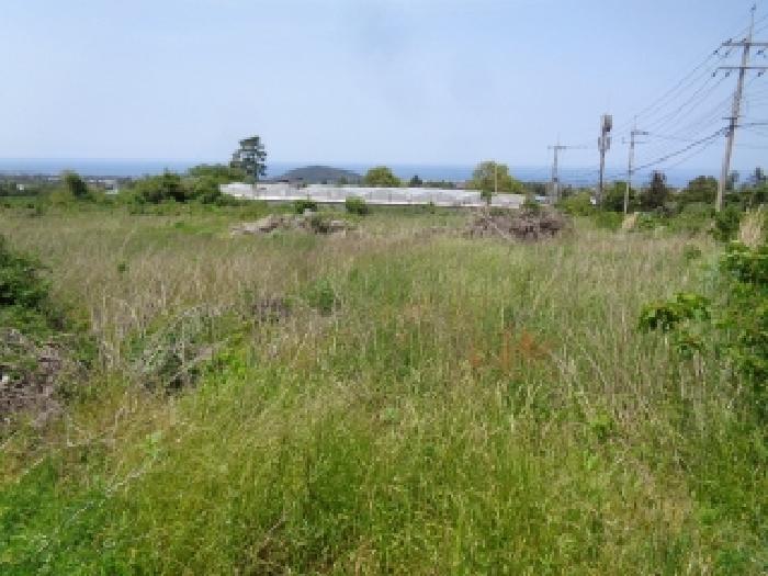 소재지 1.(장전리 114-1) 전경