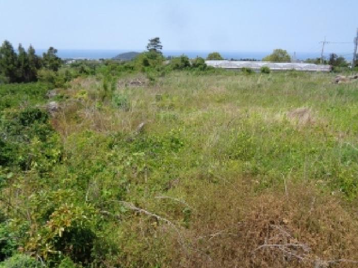 소재지 1.(장전리 114-1) 전경