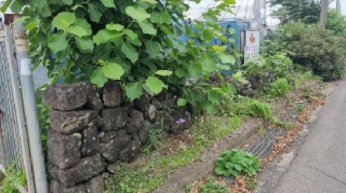 소재지1(토평동 596-2) 전경4