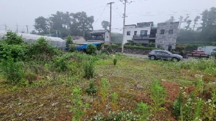 소재지2(토평동 594-2) 전경2