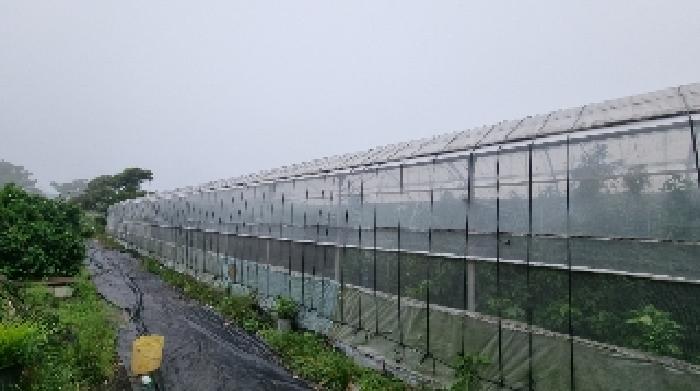 소재지1(토평동 596-2) 전경3