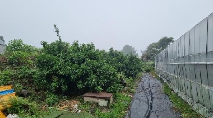 소재지1(토평동 596-2) 전경2