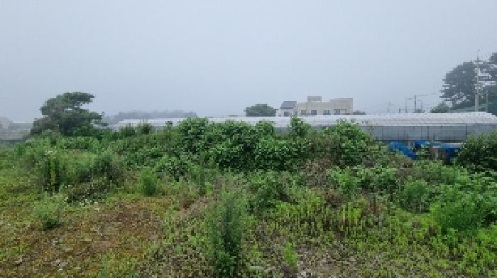 소재지1(토평동 596-2) 전경1