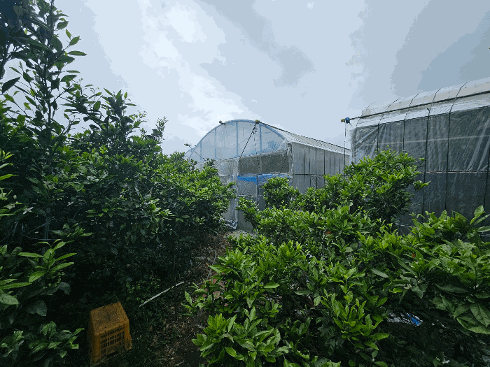 제시외건물(ㄹ)