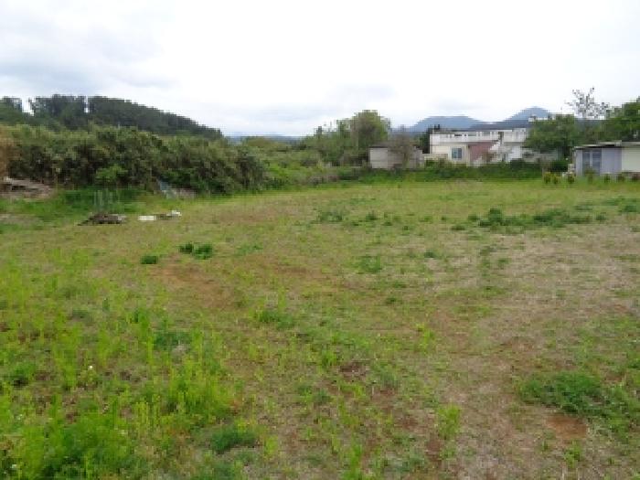 소재지 2.(유수암리 1473-3) 전경