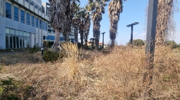 소재지4(고성리 1207-13) 전경