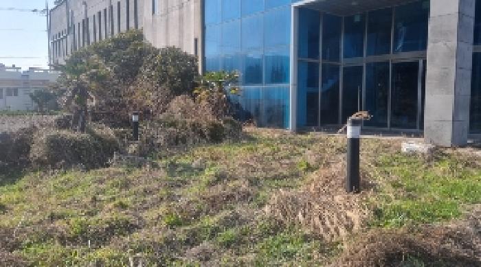 소재지1(고성리 1207-1) 전경2