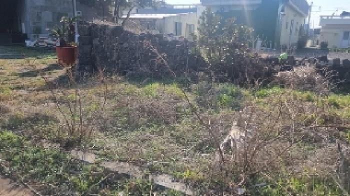 소재지5(고성리 1207-14) 전경