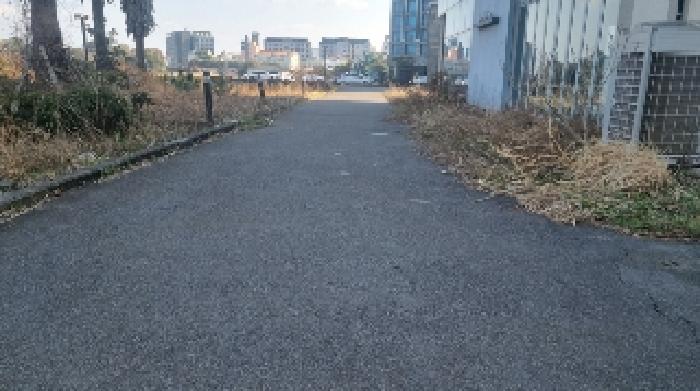 소재지3(고성리 1207-12) 전경1