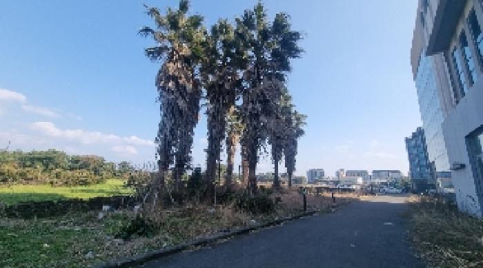 소재지3(고성리 1207-12) 전경2