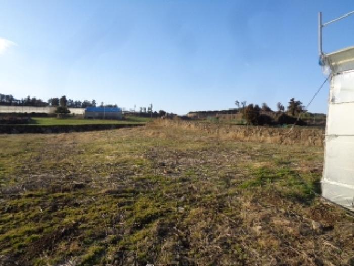 소재지 3. (소길리 526) 전경