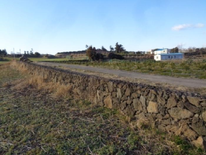 소재지 3. (소길리 526) 전경